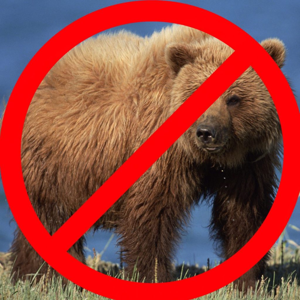 A photograph of a brown bear standing on grass with a blue sky in the background. Overlaid is a red prohibition symbol, indicating that bears are not allowed or are to be avoided.