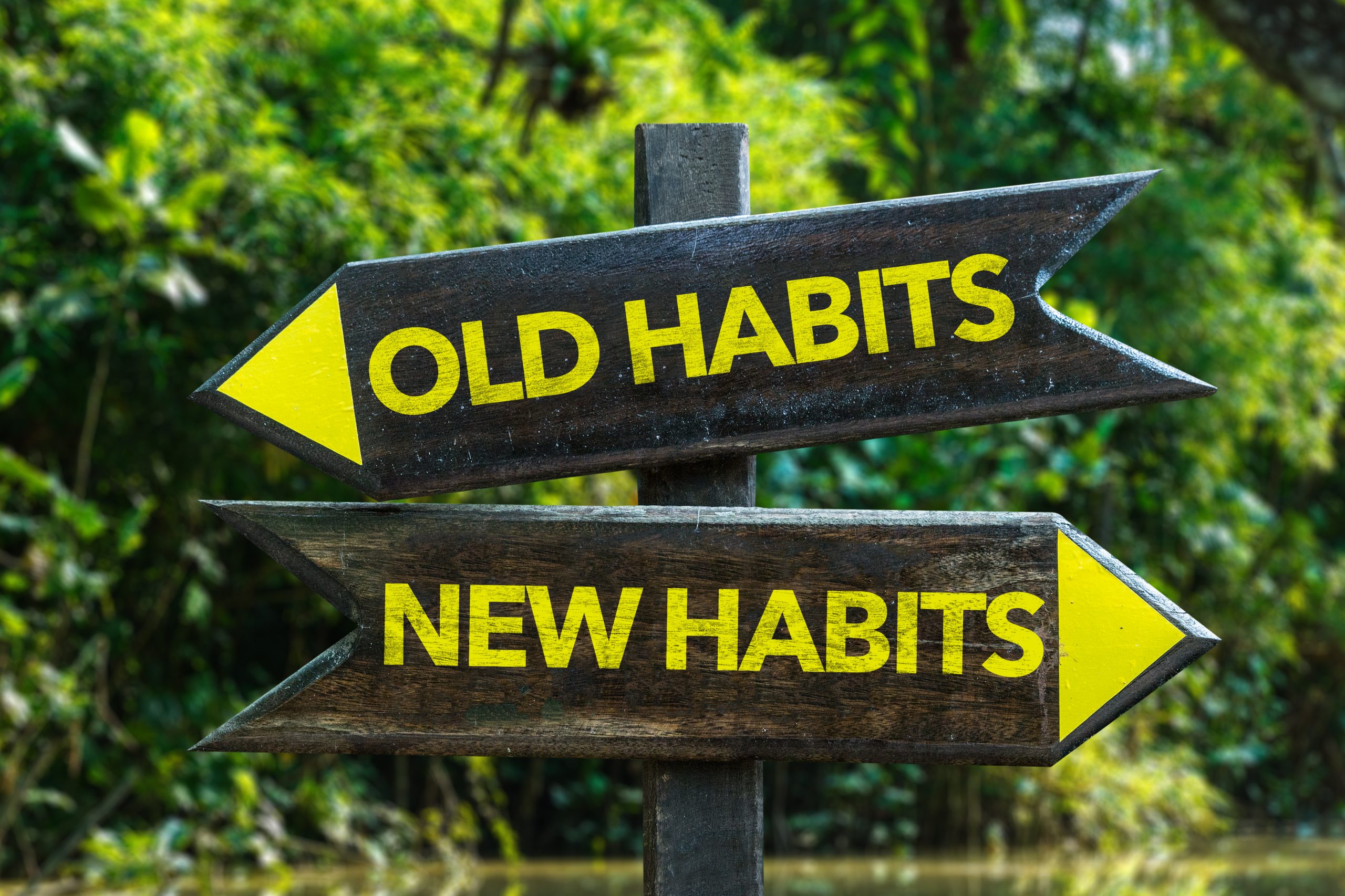 A wooden signpost with two arrows pointing in opposite directions. The top arrow, labeled "OLD HABITS," points to the left, while the bottom arrow, labeled "NEW HABITS," points to the right. The background features lush green trees and foliage, suggesting a natural outdoor setting.